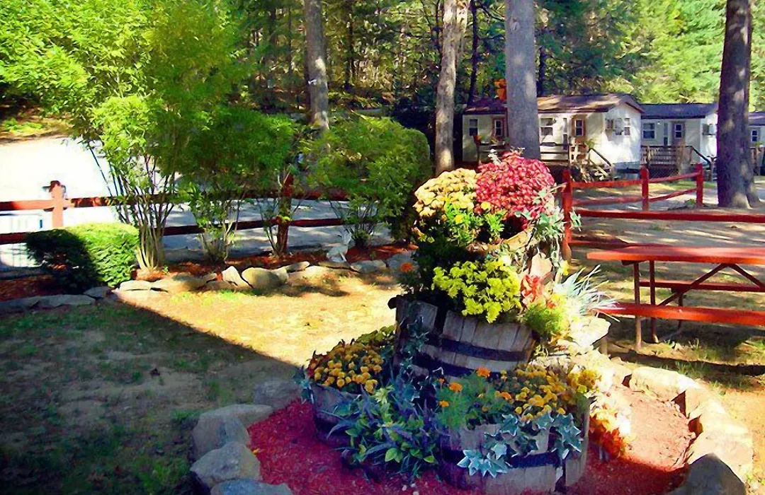 Sturbridge Rv Resort - Campground-1